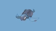 Tirtouga's weight is 16.5 kg (36.4 lbs) (Image via The Pokemon Company)